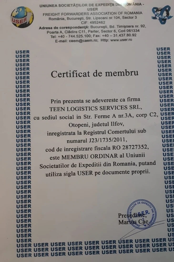 Imagine certificat/diploma